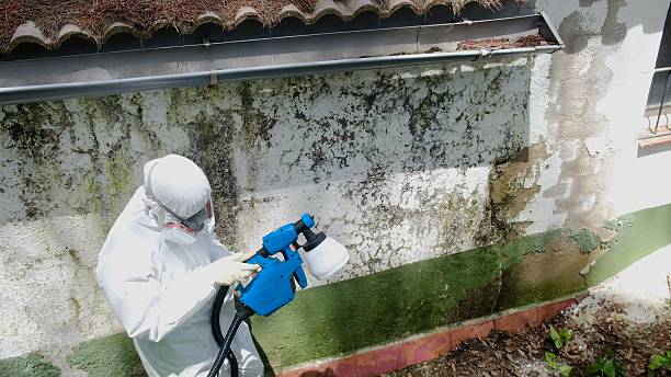 Trusted Commercial Mold Remediation service in Glencoe, IL - Cheap Mold Removal